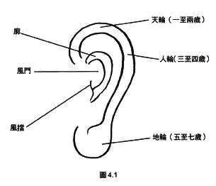 方頭大耳 面相|从耳朵看面相｜5点耳朵形状及特征，一窥性格与运